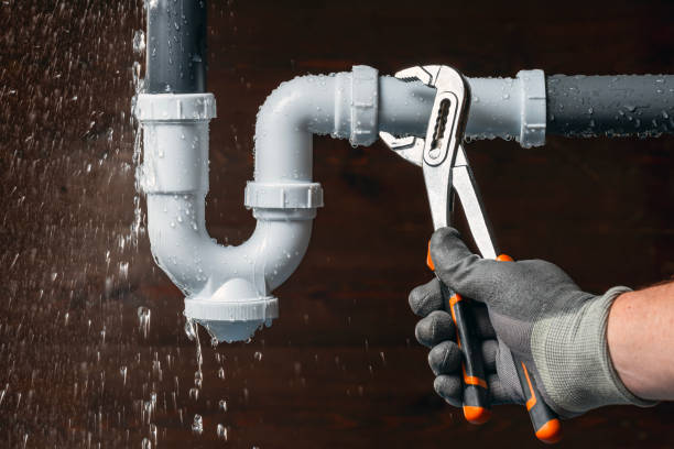 Professional Plumbing technician working in Zumbro Falls, MN